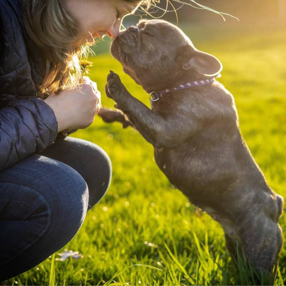 Meet your Posher, Jamie